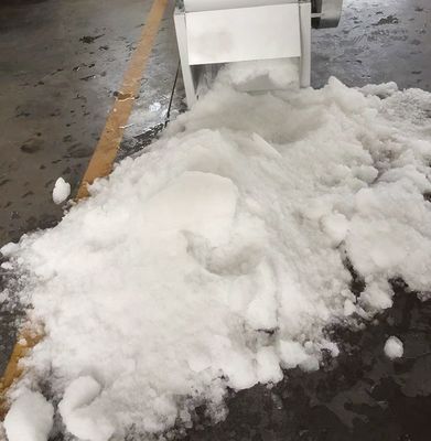 ステンレス鋼の商業砕氷船機械200kg/Min