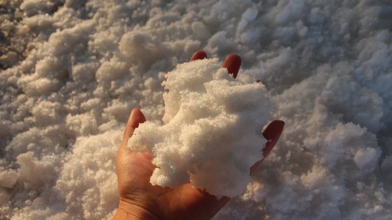 ジュースのレストランの商業ステンレス鋼ねじ氷の電気かみそりの粉砕機機械