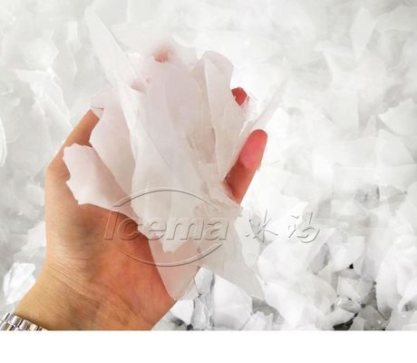 中国 工場価格で冷却用のコンテナ化50トン/日 雪片氷機