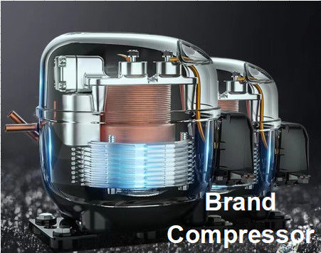 2024 スーパーマーケットで飲み物を冷やするための6ドア立立冷蔵庫 1350L